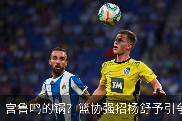 宫鲁鸣的锅？篮协强招杨舒予引争议：以后谁还敢签中国球员？